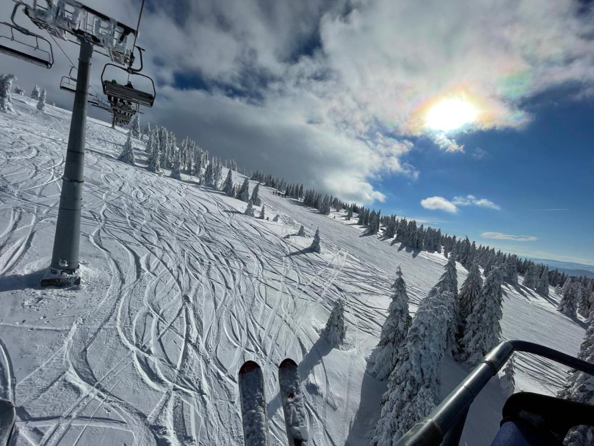 Ferienwohnung Pano Kopaonik Panorama Exterior foto